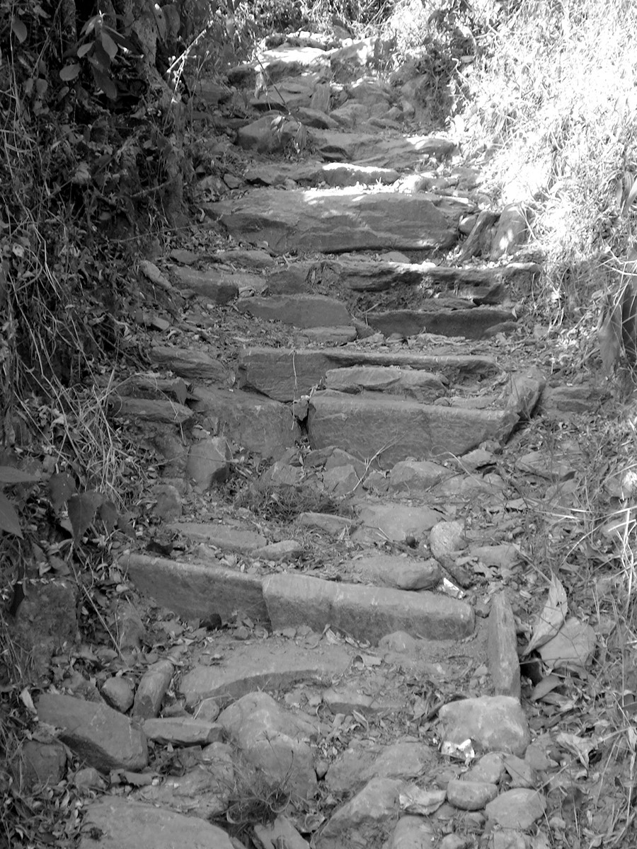 caminos antiguos colombia